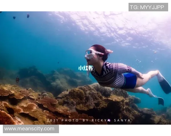 深圳极限运动队与成都极限运动队赛后复盘灵活性对比分析 深圳极限运动队与成都极限运动队赛后复盘灵活性对比分析